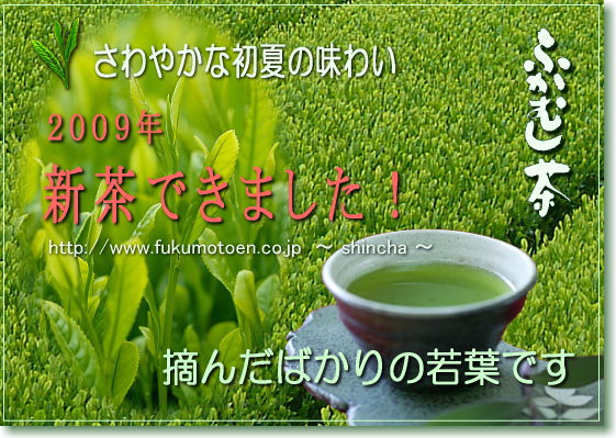 �V���ł��܂����B