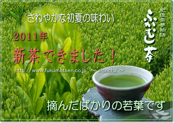 新茶できました。