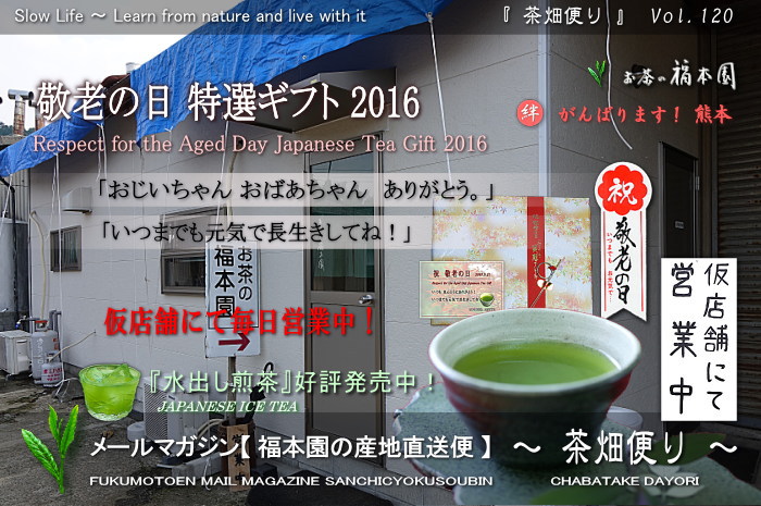 お茶 通販
