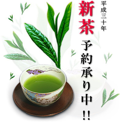 新茶予約承り中!
