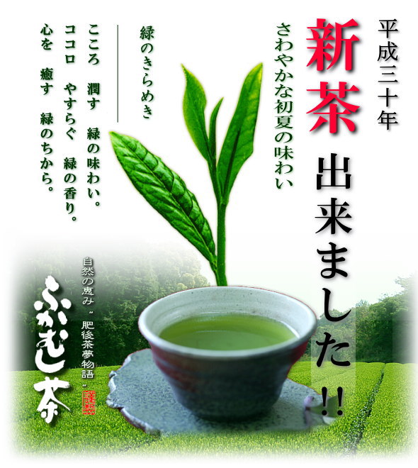 新茶 通販