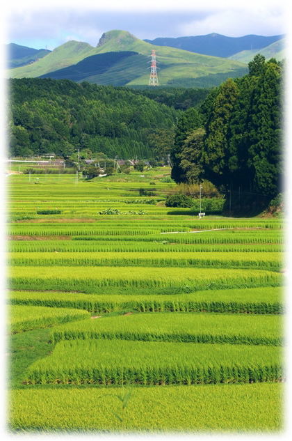 南阿蘇　西原村