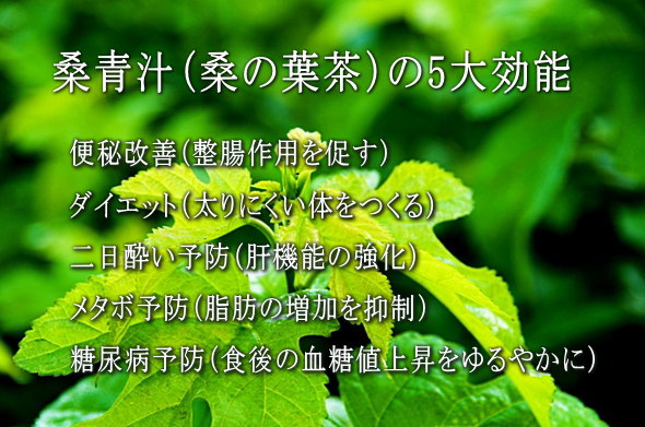 桑青汁(桑茶)の効能
