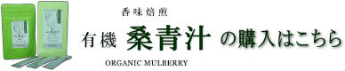 桑青汁(桑茶)の購入はこちら