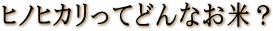 ヒノヒカリってどんなお米?