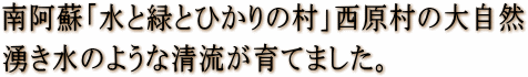 西原村の大自然が育てたお米