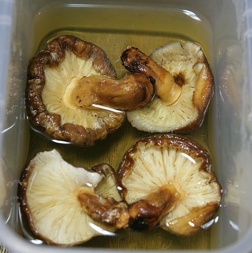 原木乾椎茸の美味しい戻し方(冷水戻し)