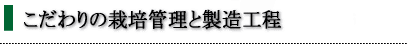こだわりの栽培管理と製造工程(ふかむし茶)