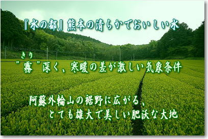 深むし茶(ふかむし茶)