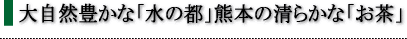 大自然豊かな「水の都」熊本の清らかな「お茶」