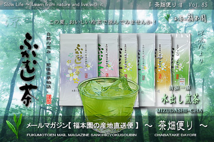 お茶 通販